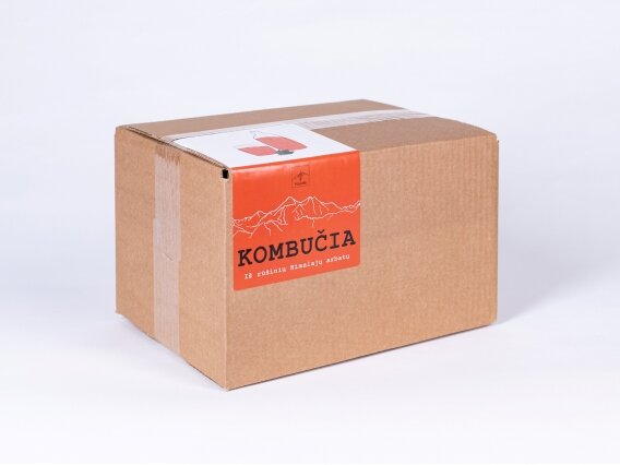 KOMBUCHA "MOST POPULAR" FLAVOR BOX 12 pcs. 2