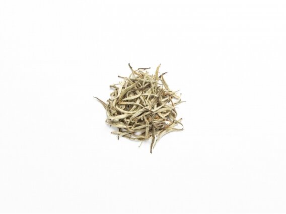 SILVER NEEDLES WHITE TEA